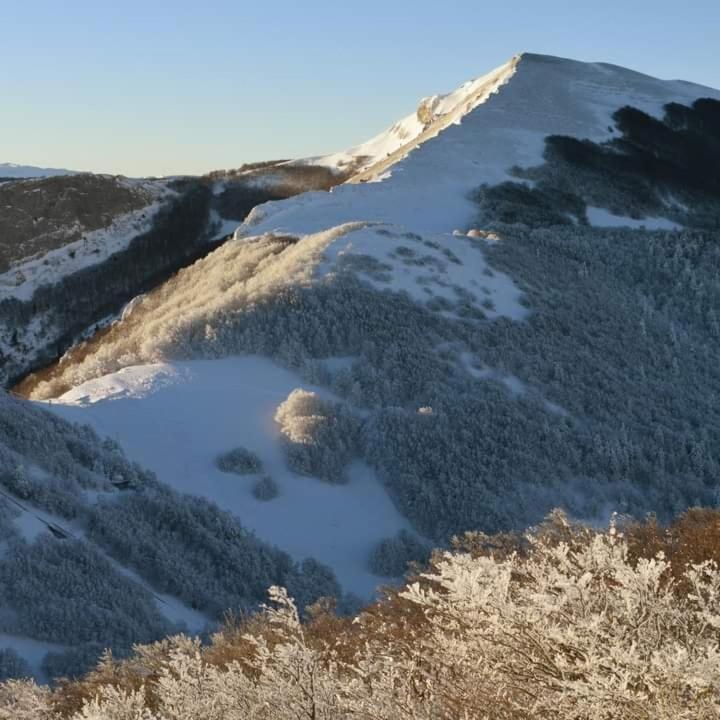 Villard De Lans Kültér fotó