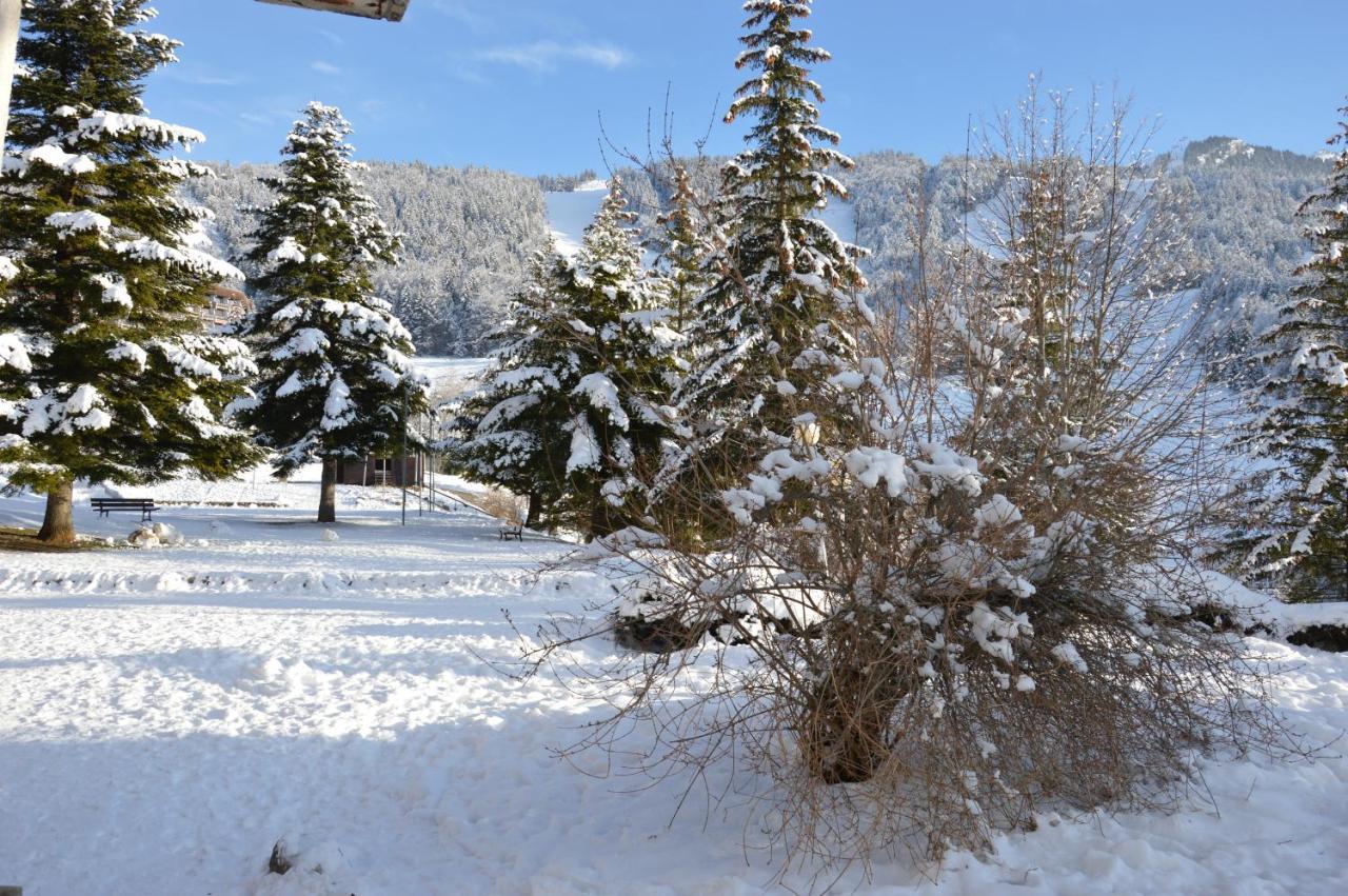 Villard De Lans Kültér fotó